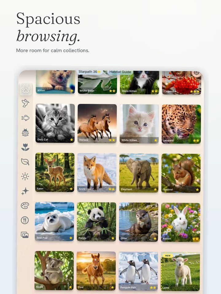 Spacious browsing on iPad