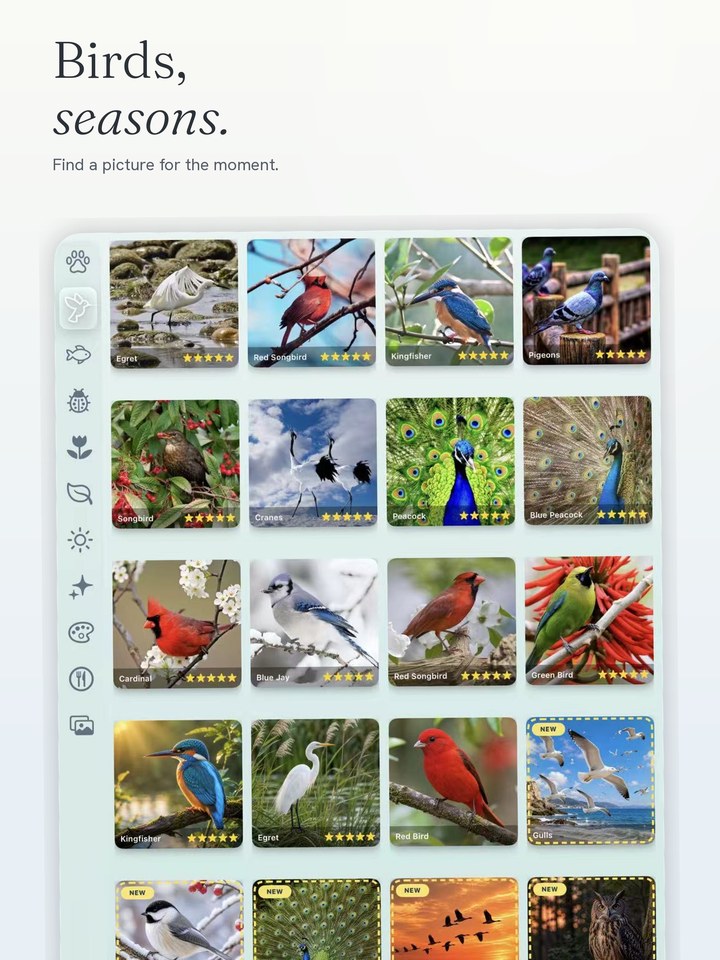 Bird and season collections on iPad